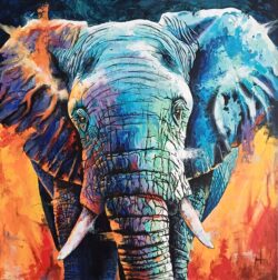 « Elphian » n°63